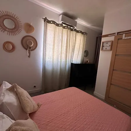 Maison Climatisee 4 Terrasse 3 Kms * סן-לורן-דה-לה-סלאנק